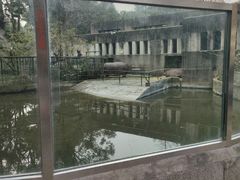 -成都动物园