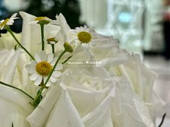 -Ralph’s Coffee(深圳罗湖万象城店)