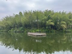 -蜀南竹海景区