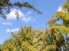 -辽宁大学(崇山校区)