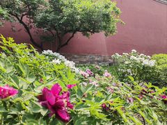 -北京市劳动人民文化宫(太庙)
