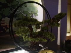 -蓝鲸湾汤泉(包河店)