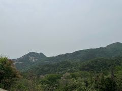 -木兰云雾山