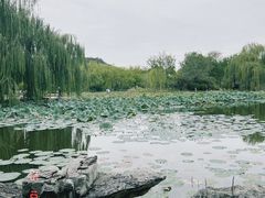 -南翠屏公园