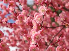 -白塘生态植物园