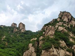 -大岭沟猕猴桃谷风景区