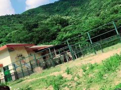 -无锡动物园·太湖欢乐园