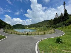 -武陵山森林公园