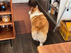 -肥朵食堂(带梦胡同店)