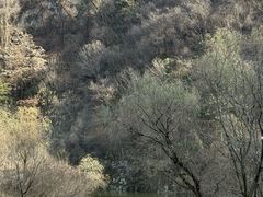 -秦岭终南山世界地质公园翠华山景区