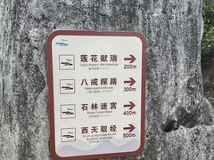 -千岛湖石林