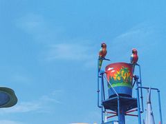 -苏州乐园森林水世界