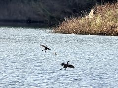 -神农溪纤夫文化旅游区