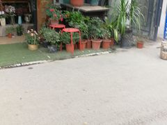 -黄埔古港