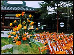 -唐御宴•御宴宫•唐代菜点(芙蓉西路店)