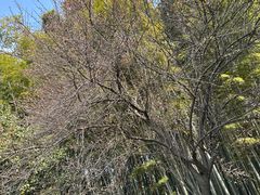 -宝岩生态观光园