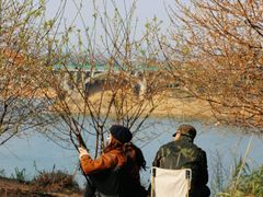 -广州市流溪河国家森林公园