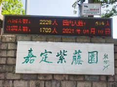 -嘉定紫藤园