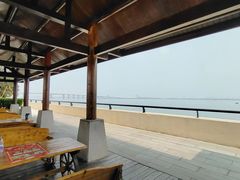 -大湾区中央湿地公园