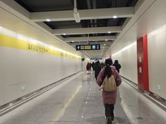 -望京西(地铁站)