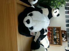 android_upload_pic-济州岛泰迪熊博物馆