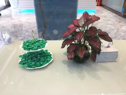 -清颜专业祛痘连锁店