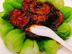 香菇菜心-泰丰楼(前门西大街店)