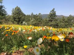 -名花谷生态庄园