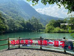 -紫云谷景区