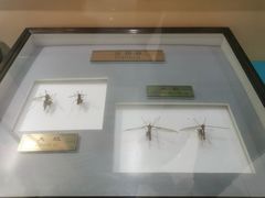 -上海昆虫博物馆