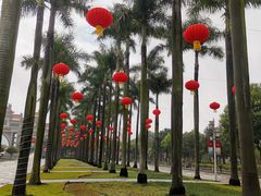 -顺峰山公园