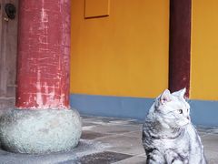 -龙华寺