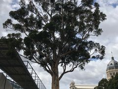 -墨尔本博物馆(Melbourne Museum)