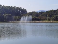 -福建鲤鱼洲酒店