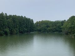-东湖落雁景区