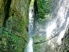 -鹿院坪生态旅游景区