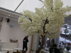 -艾薯夫妇Aysh(福田星河COCOPark店)