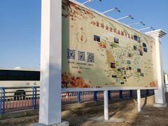 -金塔沙漠胡杨林景区