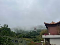 -深圳仙湖植物园