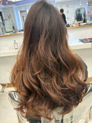 -镁连社·美联社