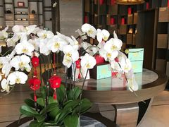 -王德传茶庄(上海新天地店)