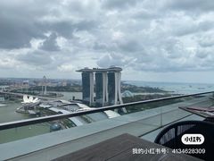 -新加坡丽思卡尔顿美年酒店
