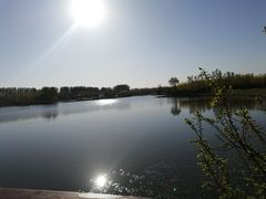 -东郊湿地公园