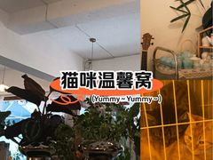 -昼夜咖啡馆