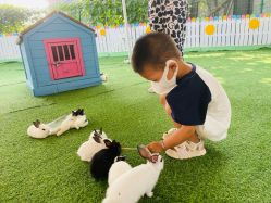 -萌宠亲子动物乐园(槐房万达店)