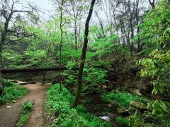-波尔登森林公园