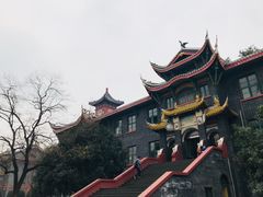 -四川大学(华西校区)