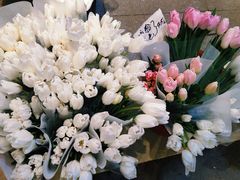 -循礼门鲜花花市(武汉循礼门店)