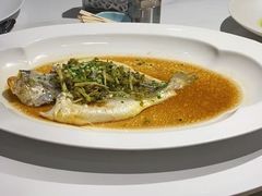 -Kathleen's Waitan 凯圣琳江景西餐厅(外滩店)