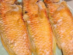 -天鹅到家·保姆月嫂育儿嫂(蔚蓝海岸店)
